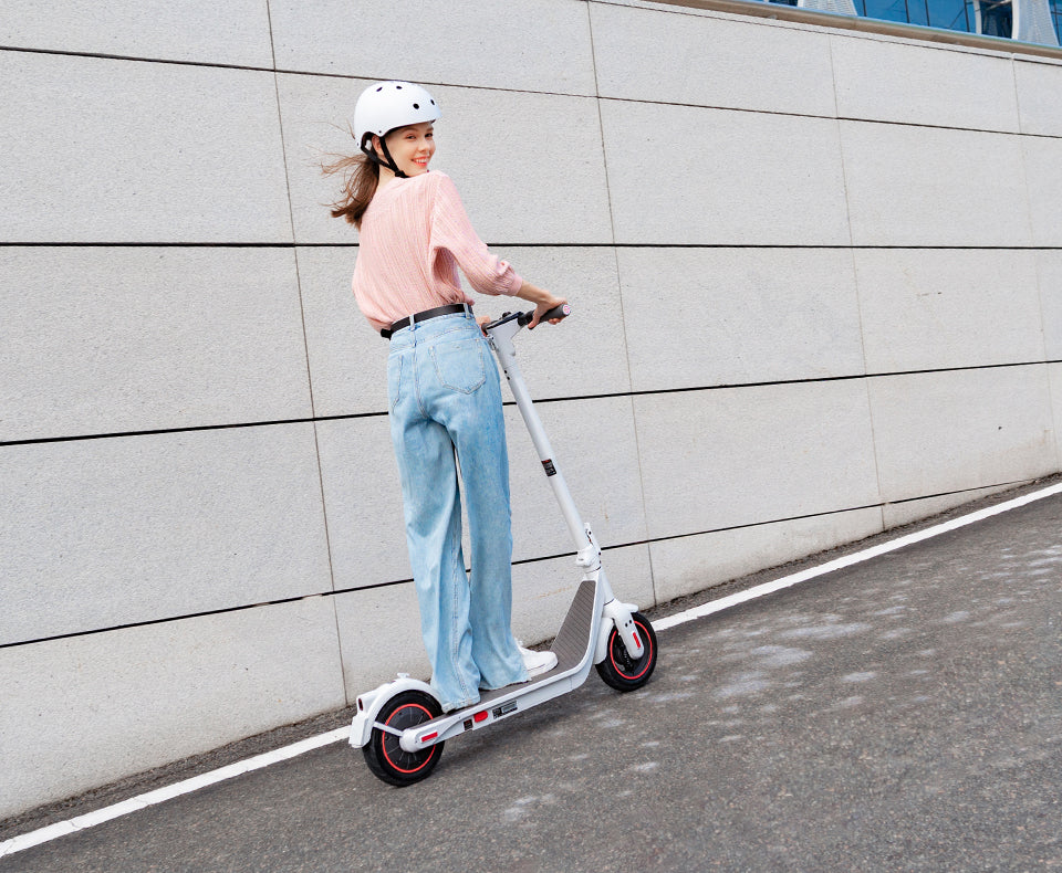 Inmotion Air Pro