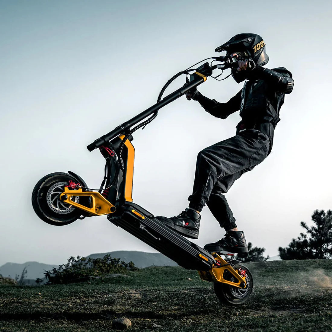 Inmotion RS
